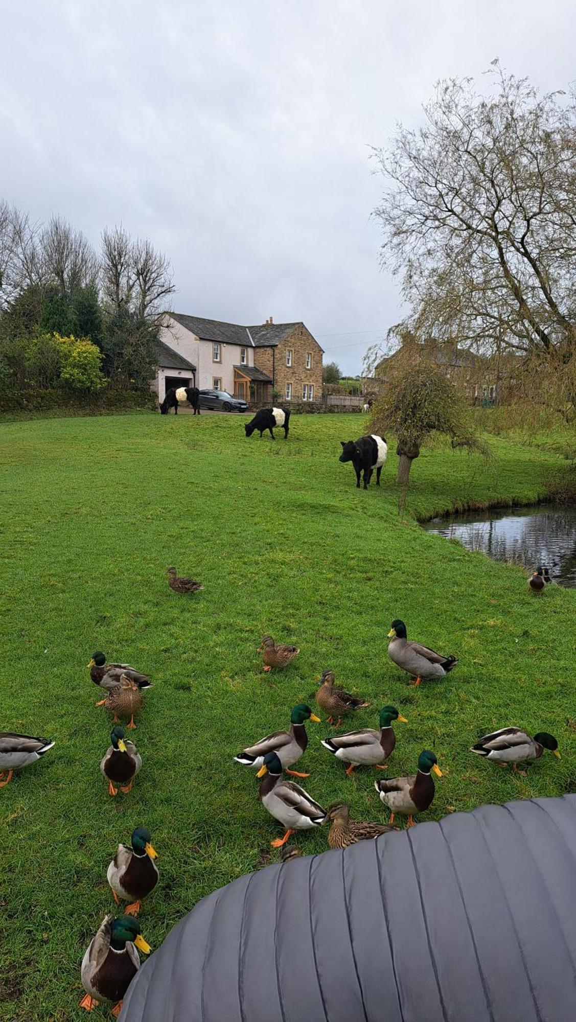סילות' Church House Barn Lake District & Solway Coast With Solway Firth Views מראה חיצוני תמונה